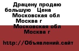 Драцену продаю, большую › Цена ­ 3 000 - Московская обл., Москва г.  »    . Московская обл.,Москва г.